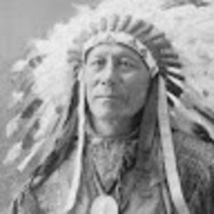 Meet your Posher, Angelo